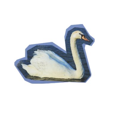 SWAN